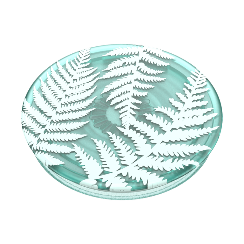 PlantCore Translucent Fern image number 2